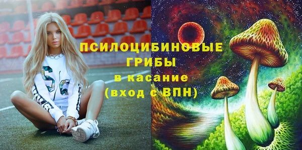 спайс Арсеньев