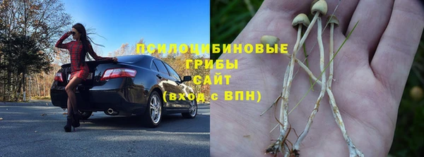 спайс Арсеньев