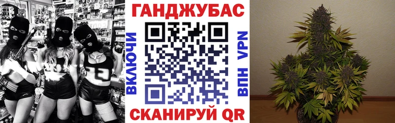 Шишки марихуана семена  Курчалой 